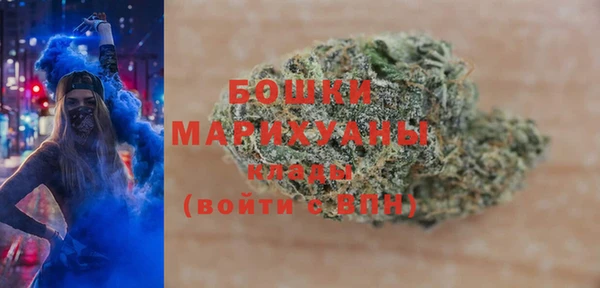 PSILOCYBIN Богданович