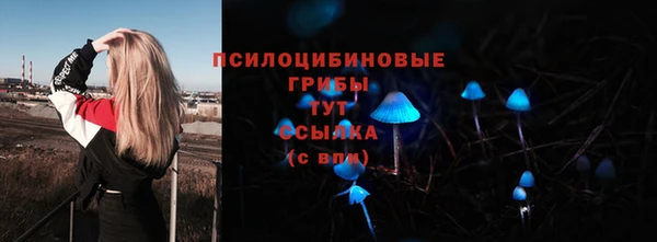 mix Богородск