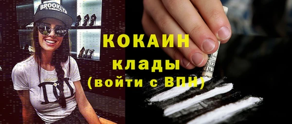 PSILOCYBIN Богданович
