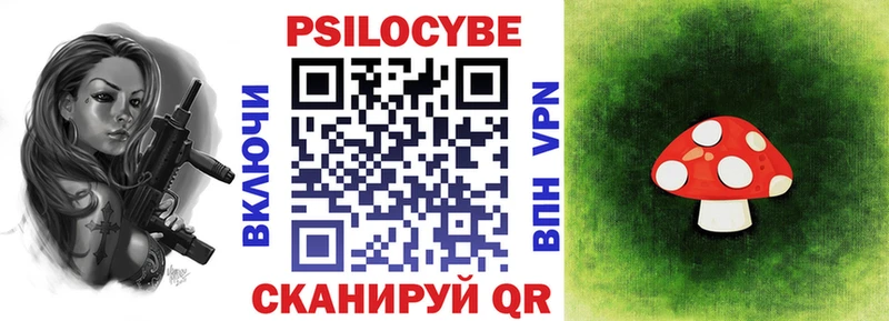 где купить наркотик Козельск Галлюциногенные грибы GOLDEN TEACHER